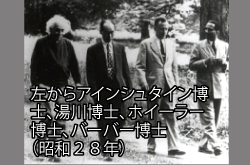 �����񍐎ʐ^